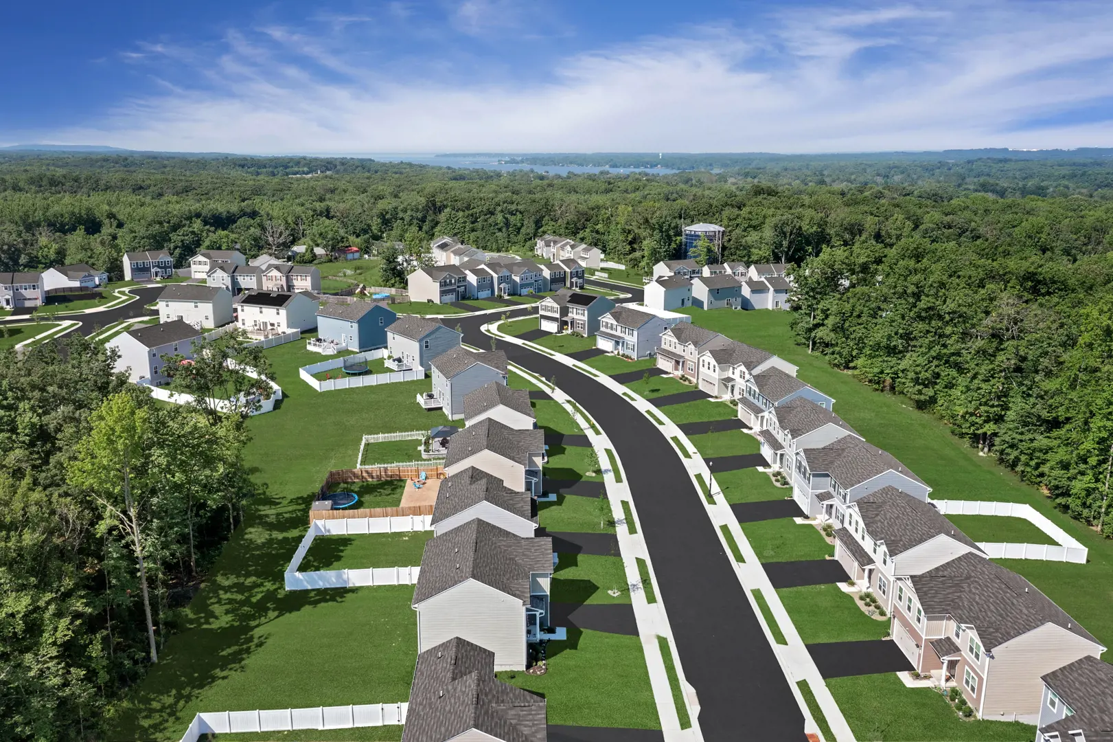 Aerial view of community homes along tree-lined road